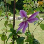 DSC02043