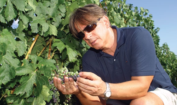 Visiting the Malatinszky Winery in Villány, Hungary